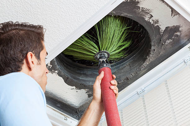 Air Duct Mold Removal in South Russell, OH